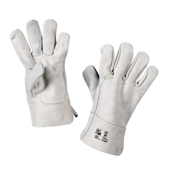 Gloves Crosta simple rump Pack of 12 pairs