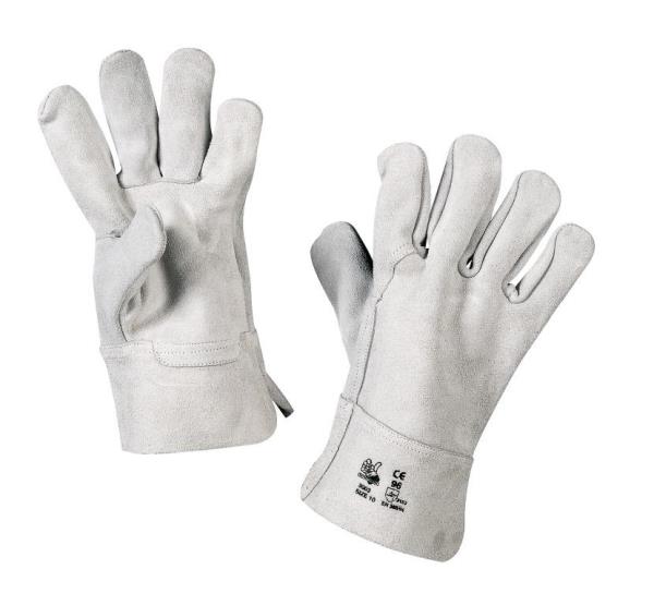 Gloves Crosta simple rump Pack of 12 pairs