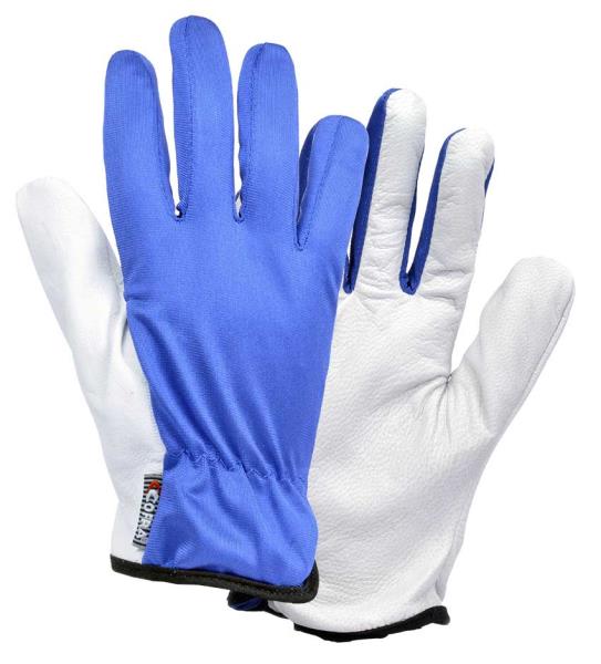 Cofra Lissom Glove In High Quality Leather Pack of 12 pairs