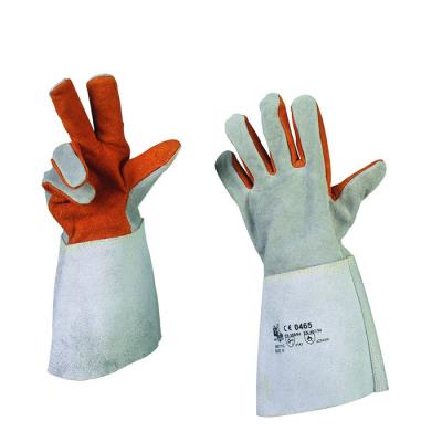Gloves Termograde" back crust 