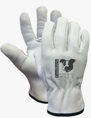 Cowhide Palm Leather Glove Back ML135G Pack of 12 pairs