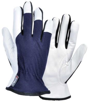 STROKE Cofra leather glove Pack of 12 pairs